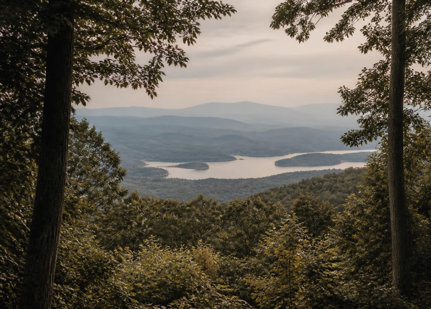 South Carolina landscape
